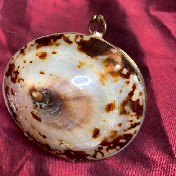 Shell Box - Picture 2 of 4